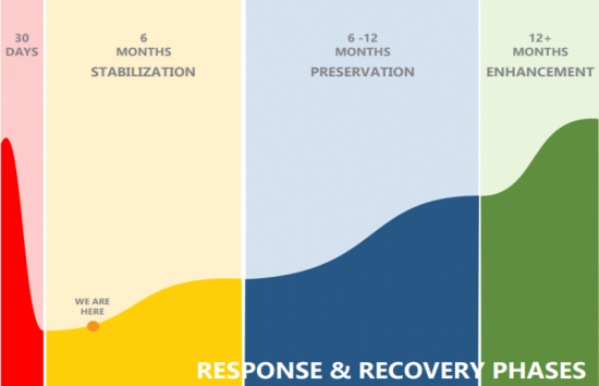 Economic Recovery Plan