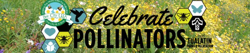 pollinator week