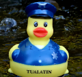 Officer R. Ducky Toy