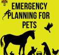 Are Your Pets Prepared