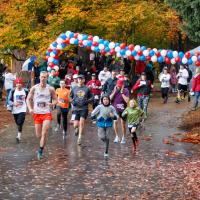 Regatta Run