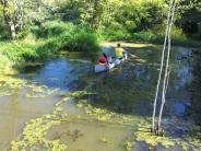 People in a canoe dragging litter out of the Hedges Creek's beaver pond.