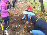 Volunteers planting trees