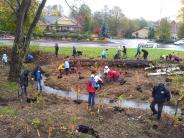 Volunteers planting trees