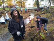 Volunteer planting trees