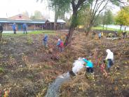 Tree planting