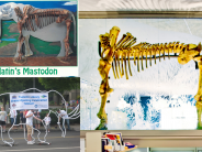 Tualatin's mastodon, through the years