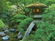 A stream with a bridge and lantern at Portland Japanese Garden