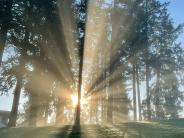 Shining Through It All