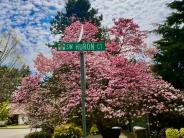 Springtime in Huron