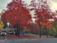 Fall at the Pohl Center