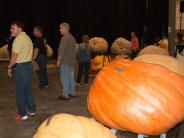 pumpkins