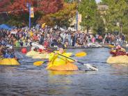 regatta