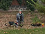 Pollinator Planting at Ibach Park 