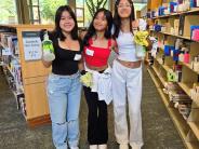 Spruce Up the Library