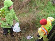 Volunteers removing litter