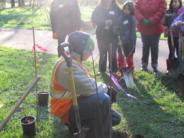 Volunteers putting down roots in Tualatin