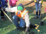 Volunteers putting down roots in Tualatin