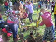 Volunteers putting down roots in Tualatin