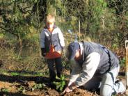 Volunteers putting down roots in Tualatin