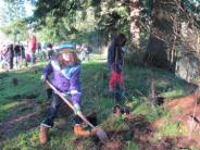 Volunteers putting down roots in Tualatin