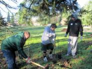 Volunteers putting down roots in Tualatin