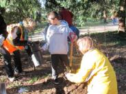 Volunteers putting down roots in Tualatin