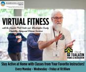 Older Adult Virtual Fitness