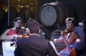 Willamette Valley Chamber Music Festival performing on string instruments
