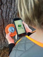 A child holding a measuring device and a smartphone with the iSeaTree app