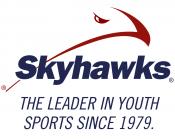 Skyhawks logo