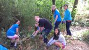 TEAM removing invasive plants