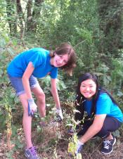 TEAM removing invasive plants