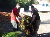 Moving in large heathly plants require strong volunteers