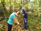 Digging a hole is a new experience for some volunteers