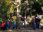 Volunteers putting down roots