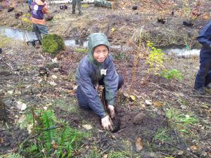 Volunteers planting trees