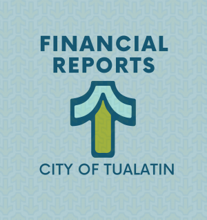 Financial Reports