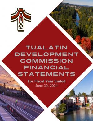 TDC Annual Financial Statement FY24