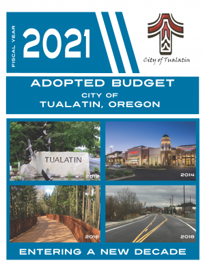 Adopted Budget FY 2020/2021