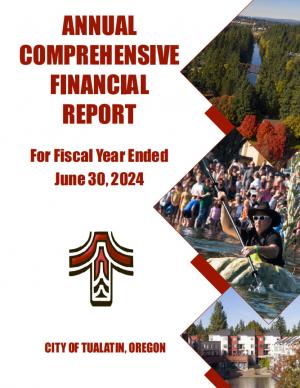 Annual Comprehensive Financial Report - FY24