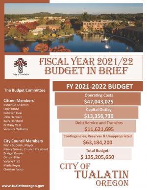 FY 2021/2022 Budget in brief