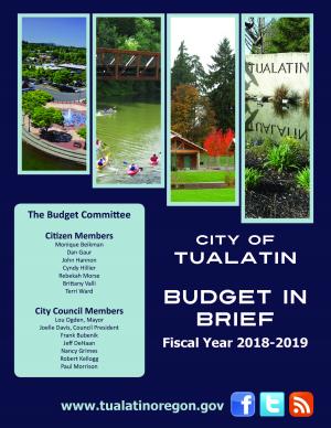 2018/2019 Budget in Brief