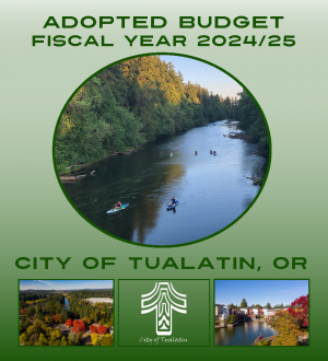 2024/2025 Adopted Budget