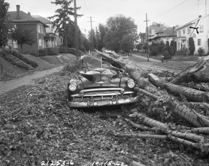 Columbus Day Storm