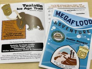 Megaflood Adventure Activity Book