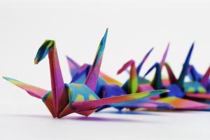 Photo of a row of origami paper cranes made with bright, colorful paper, on a white background.