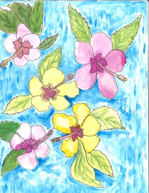 Hibiscus Flowers