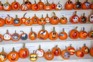 Pumpkin Painting