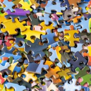 Join us 1/31 for Puzzle Palooza 2-4pm for adults